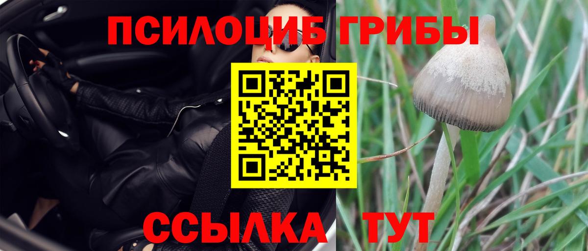 Псилоцибиновые грибы MAGIC MUSHROOMS  Вход с VPN  Киселёвск 